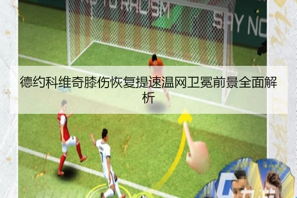 德约科维奇膝伤恢复提速温网卫冕前景全面解析